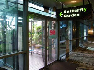 Shanghai airport butterfly garden