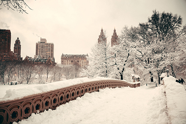 Snow in central park