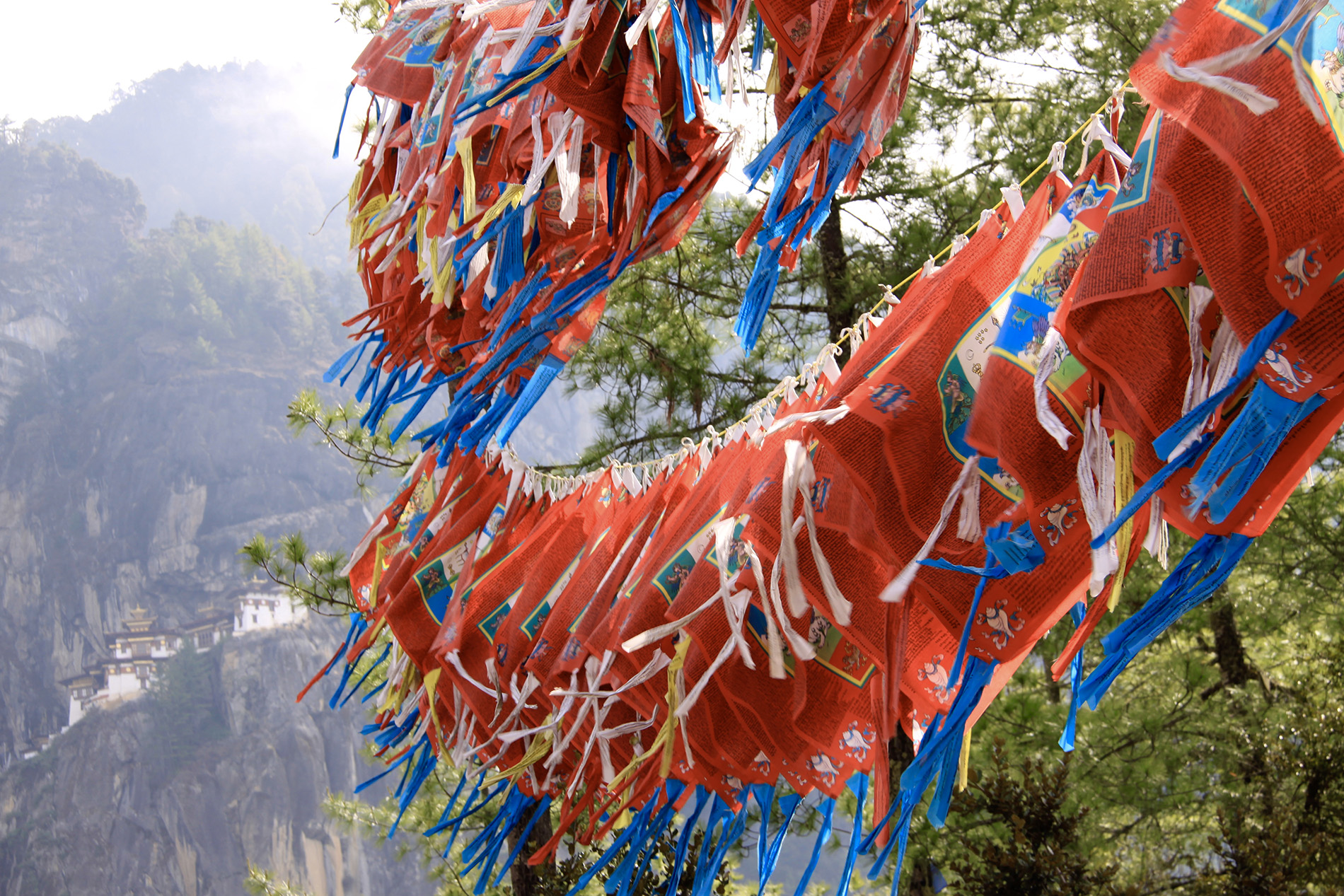 King and Queen of Bhutan Celebrate 10th Wedding Anniversary