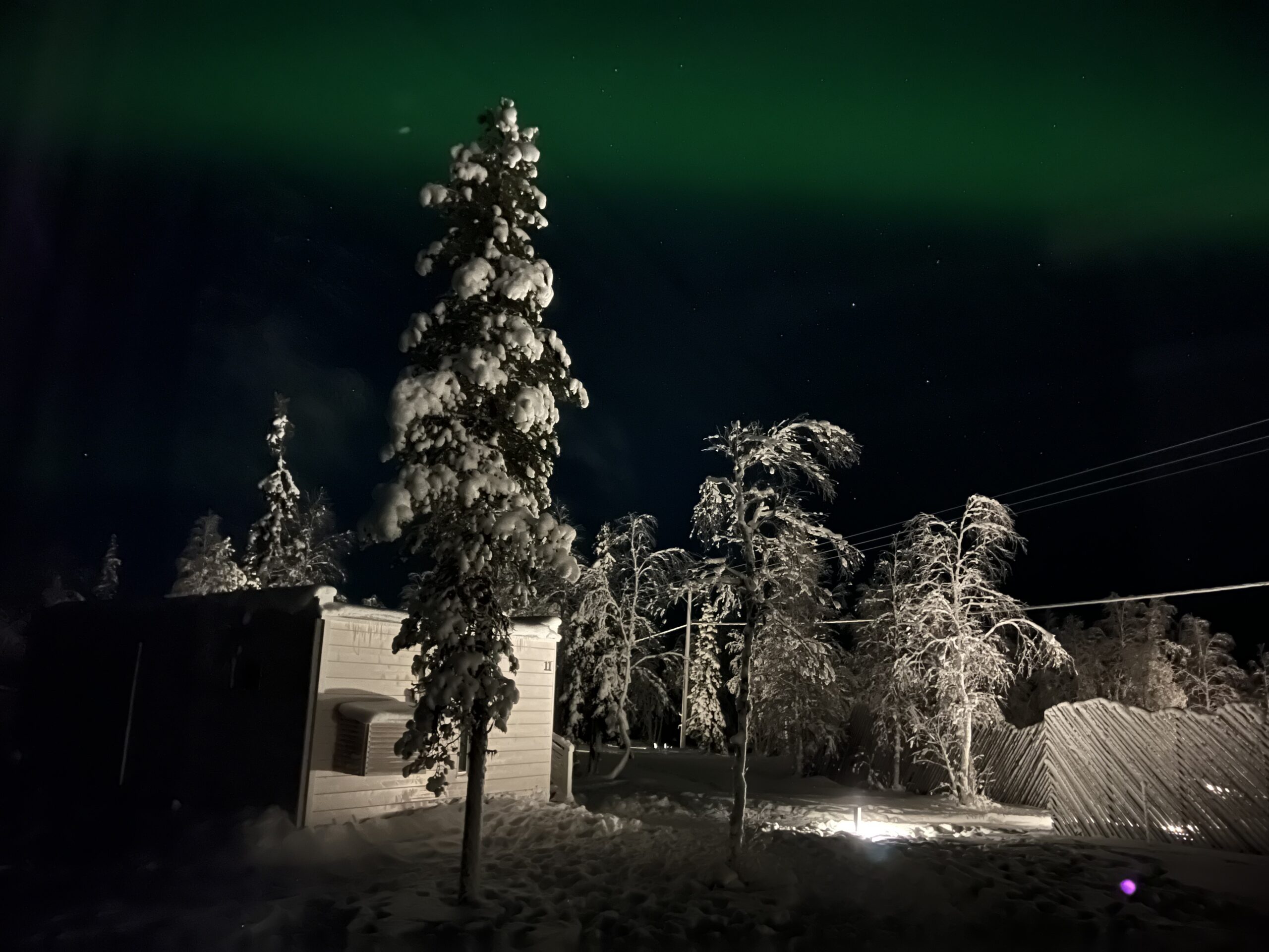 Incentive of sledding under clear winter night skies - KONGRES