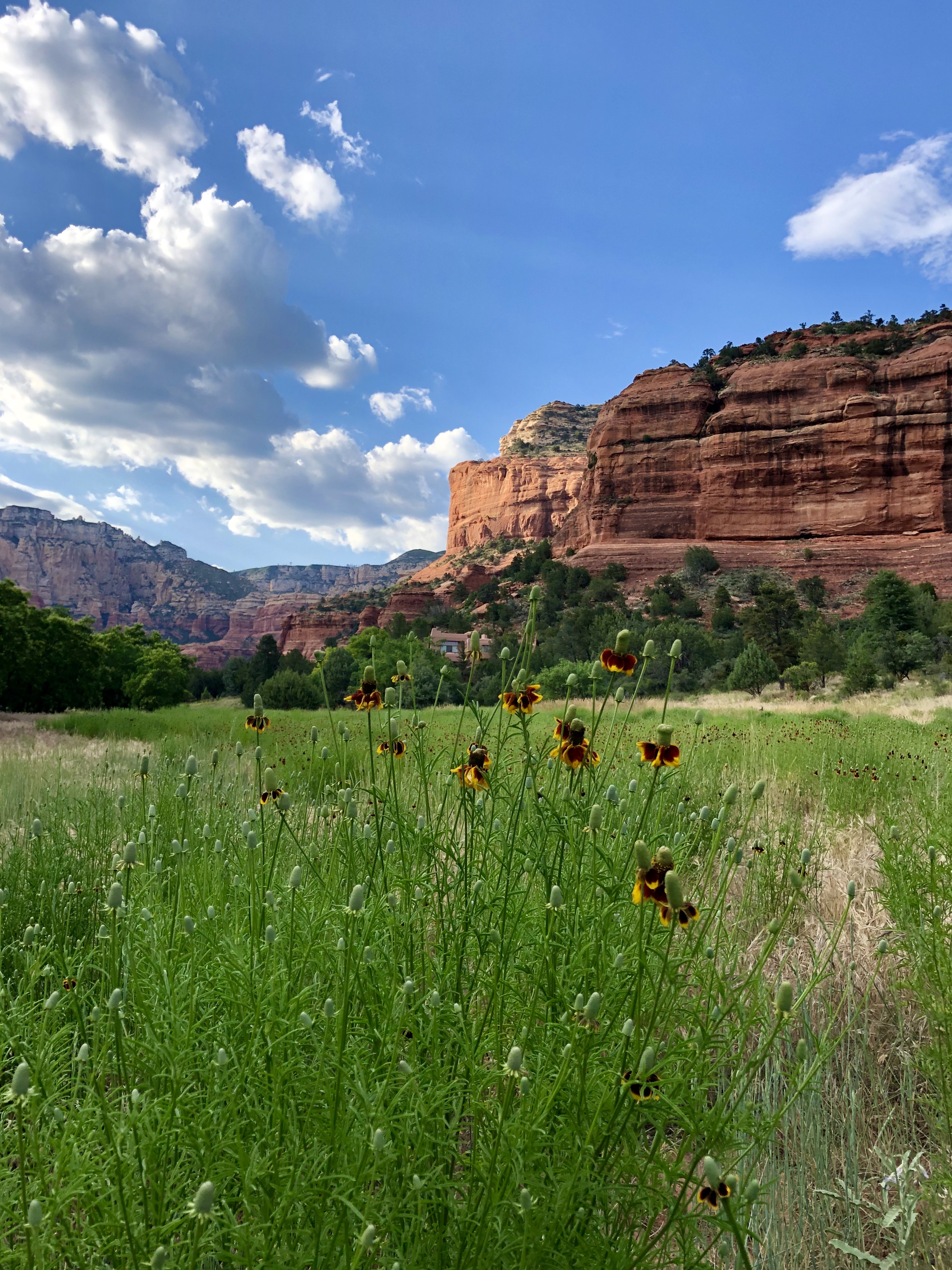 sedona