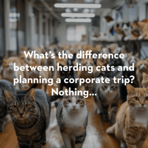 Image of cats being herded with the copy What's the difference between herding cats and planning a trip? Nothing...