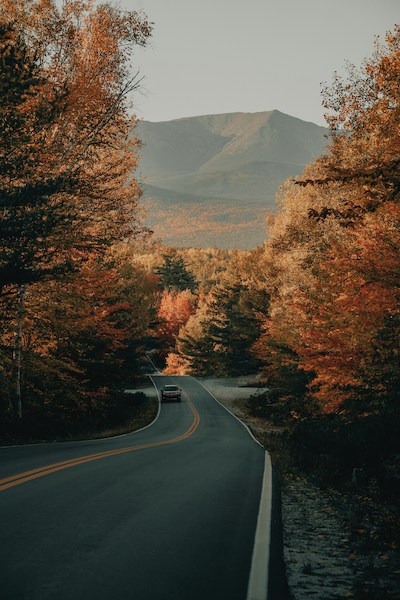 Leaf-peeping in Maine